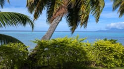 Cap sur la Polynésie : bienvenue au paradis !