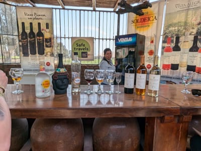 Dégustation de Pisco à Ica