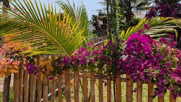Une nuit dans une plantation et une rencontre
