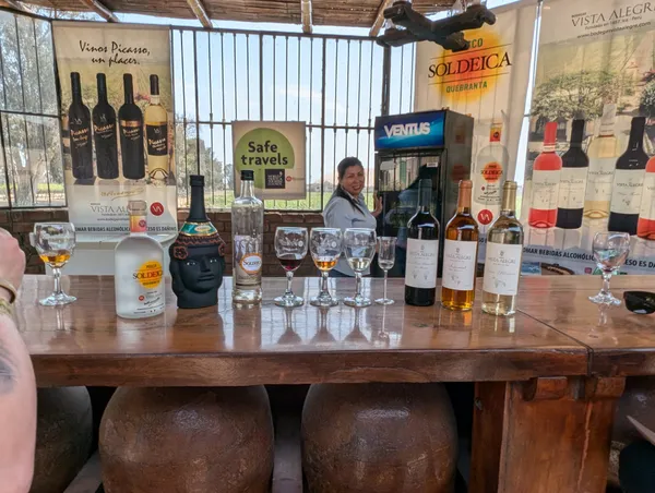 Dégustation de Pisco à Ica