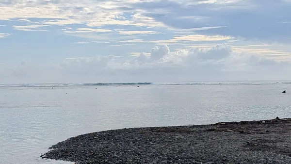 Teahupo’o : la vague des  surfeurs (fous)